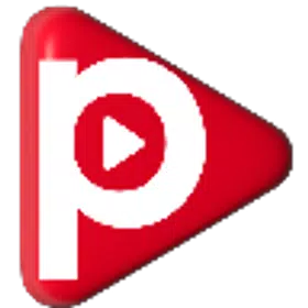 PLAYONE 4K icon