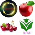 apk-icon