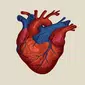 apk-icon