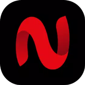 Netflix premium icon